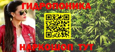 стаф Кунгур